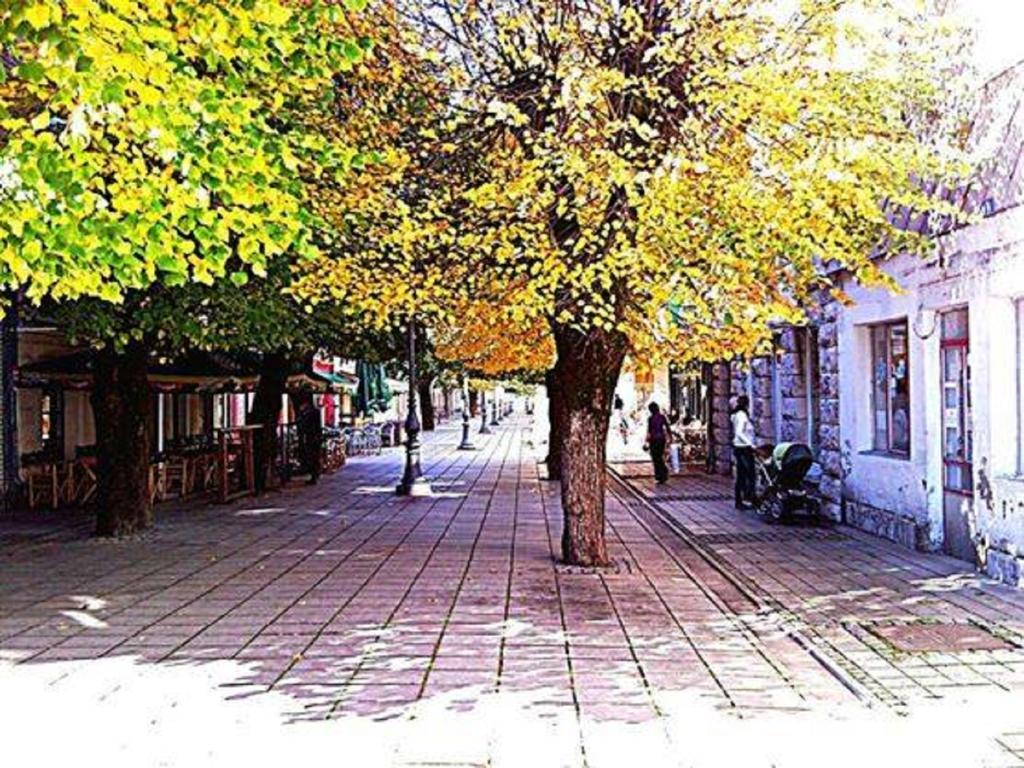 Our House Apartments 콜라신 객실 사진